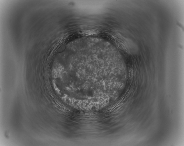 X0000098001393200804141155