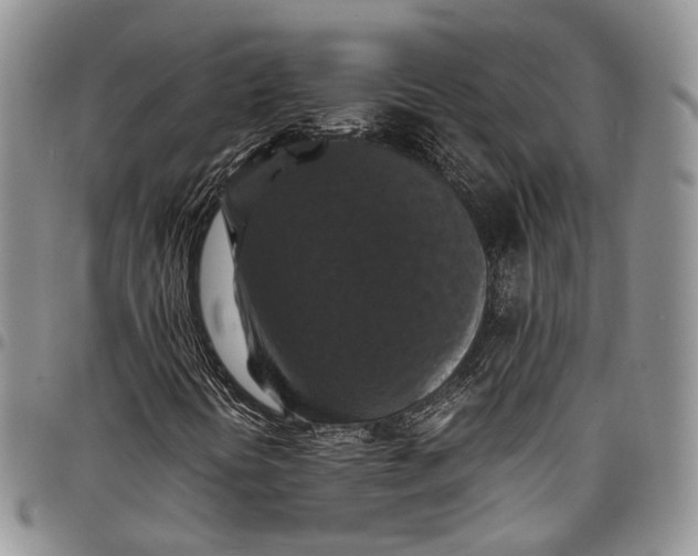 X0000098001394200804141155