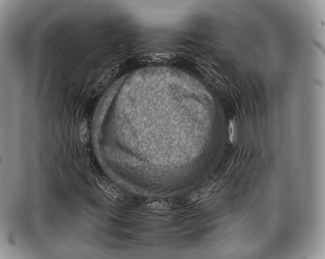 X0000098001395200804141155