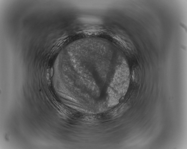 X0000098001396200804141155