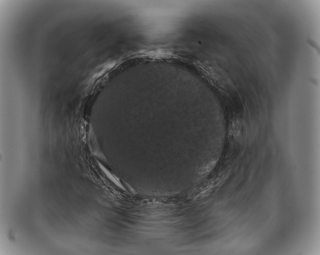 X0000098001398200804141155