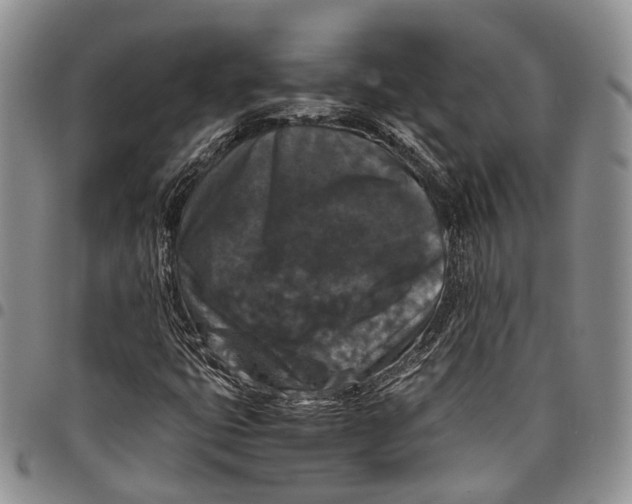 X0000098001399200804141155