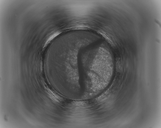 X0000098001402200804141155
