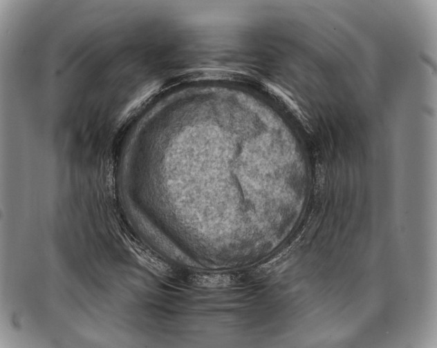 X0000098001403200804141155