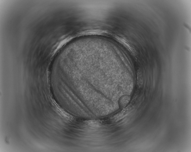 X0000098001404200804141155