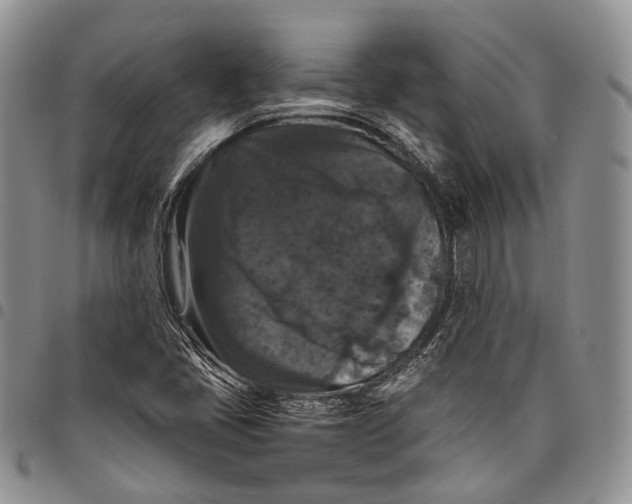 X0000098001405200804141155