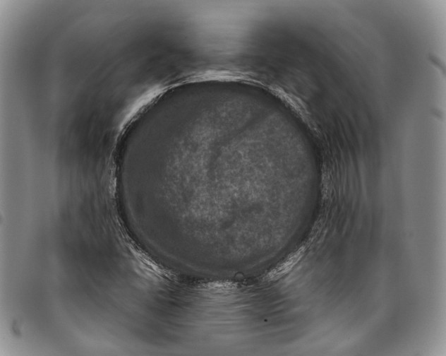 X0000098001406200804141155