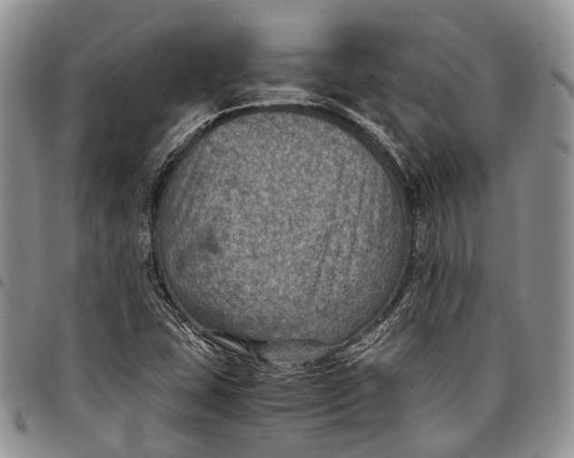 X0000098001407200804141155
