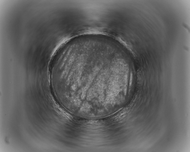 X0000098001408200804141155