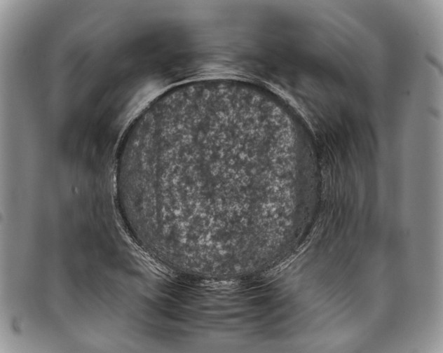 X0000098001415200804141155