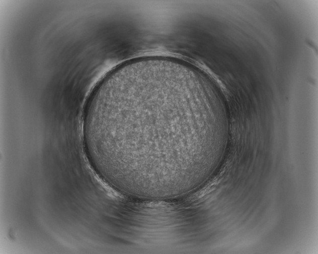 X0000098001416200804141155