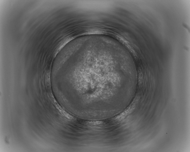 X0000098001417200804141155