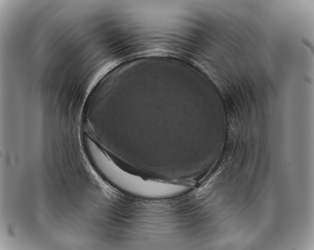 X0000098001418200804141155