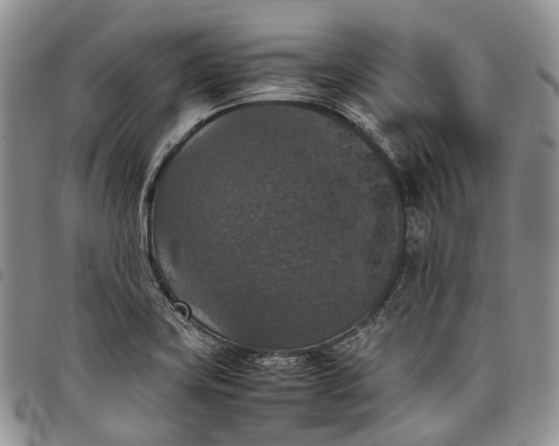 X0000098001419200804141155