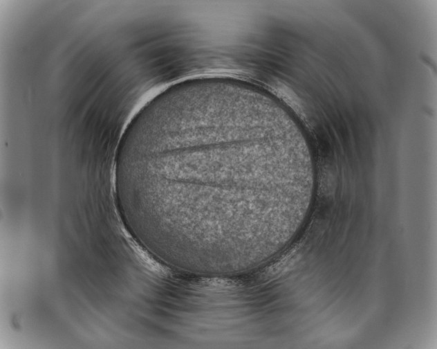 X0000098001420200804141155