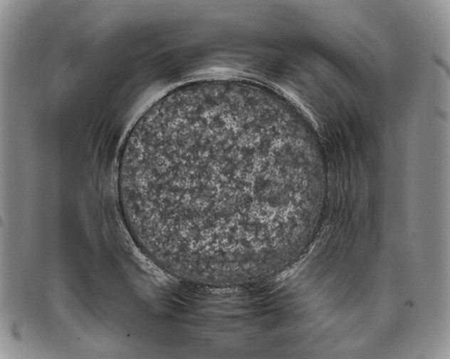 X0000098001421200804141155