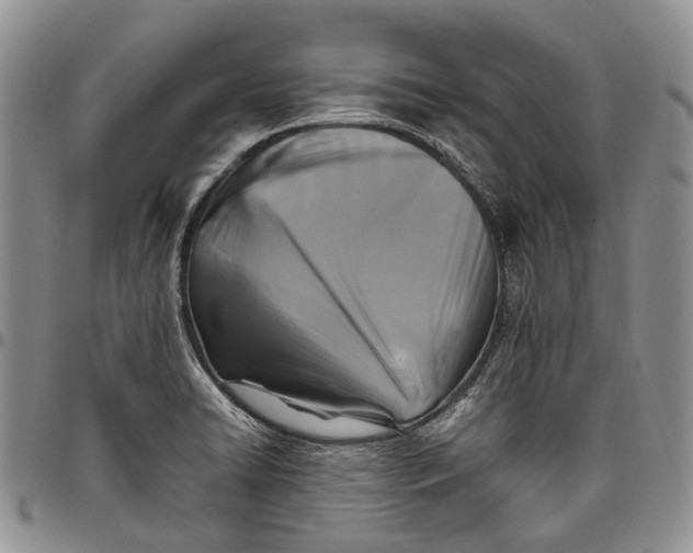 X0000098001422200804141155