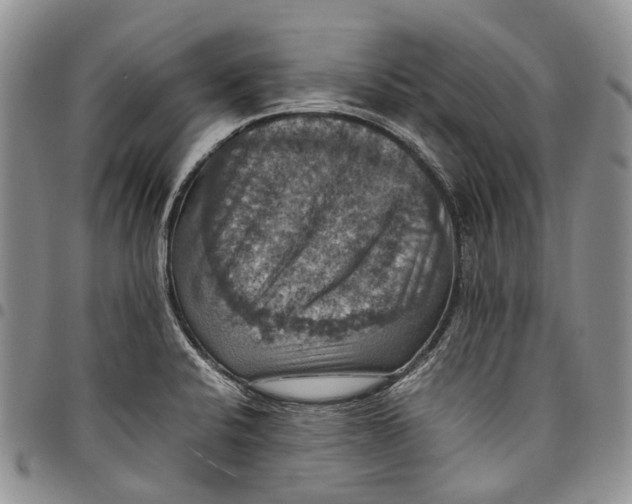 X0000098001424200804141155