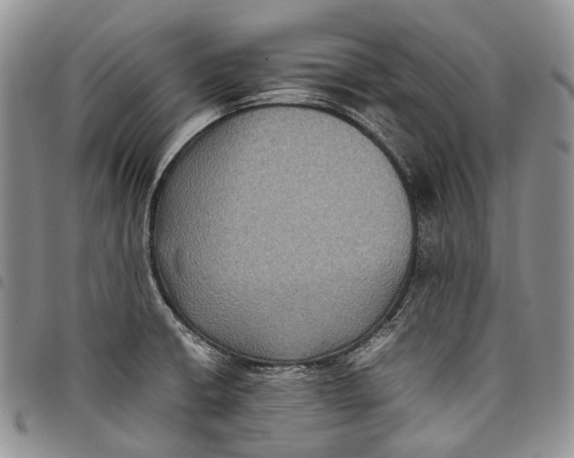 X0000098001426200804141156
