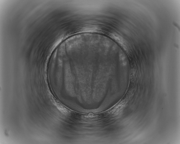 X0000098001427200804141156