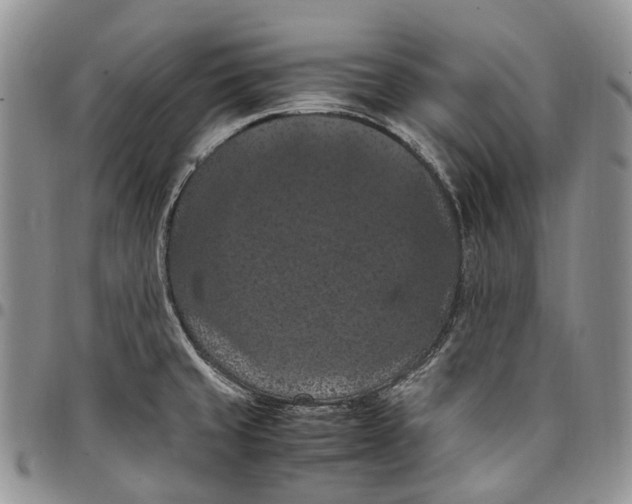 X0000098001429200804141156