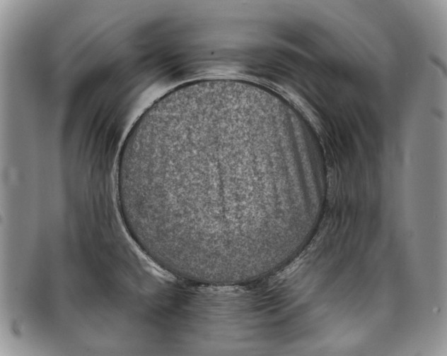 X0000098001432200804141156
