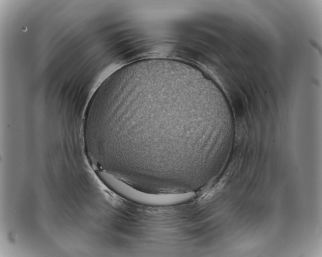 X0000098001434200804141156
