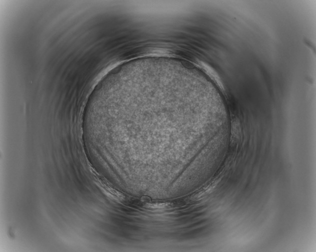 X0000098001435200804141156