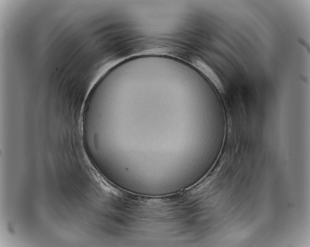 X0000098001436200804141156