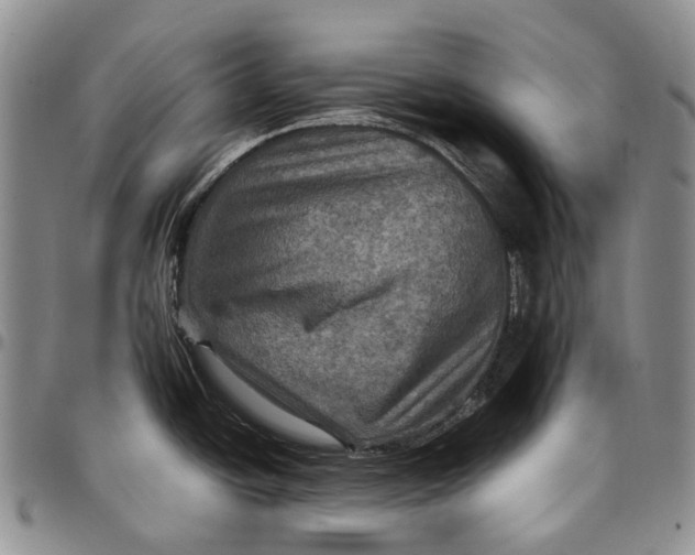 X0000098001438200804141156