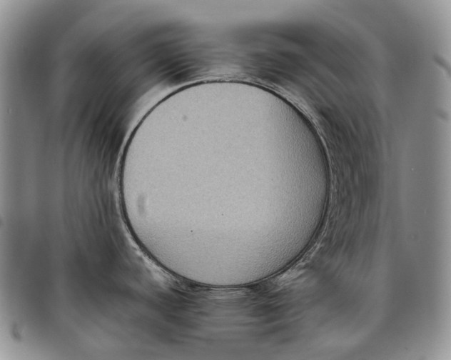 X0000098001440200804141156