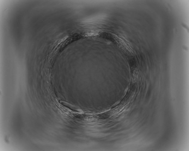 X0000098001441200804141155
