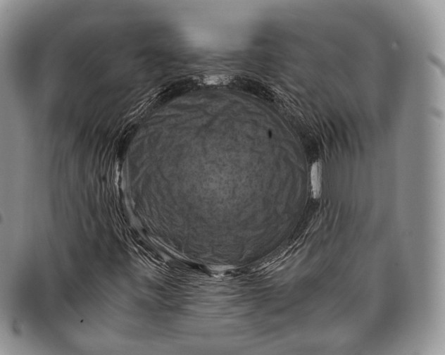 X0000098001443200804141155
