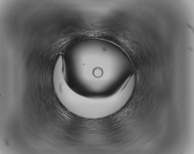X0000098001444200804141155