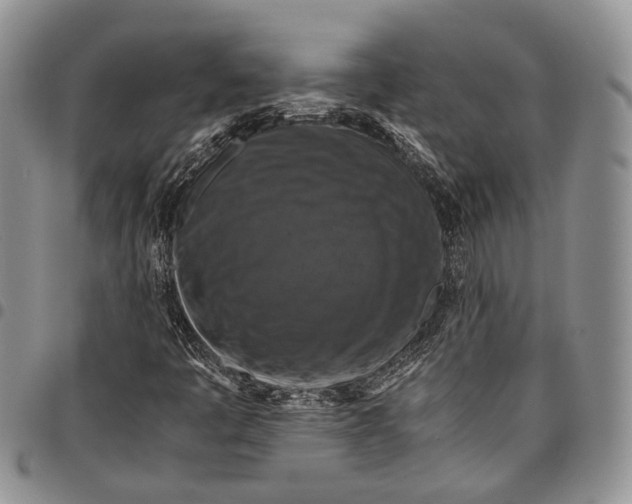 X0000098001445200804141155