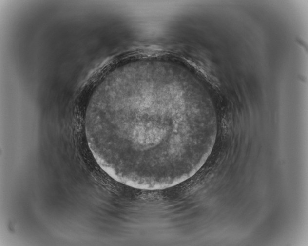 X0000098001447200804141155