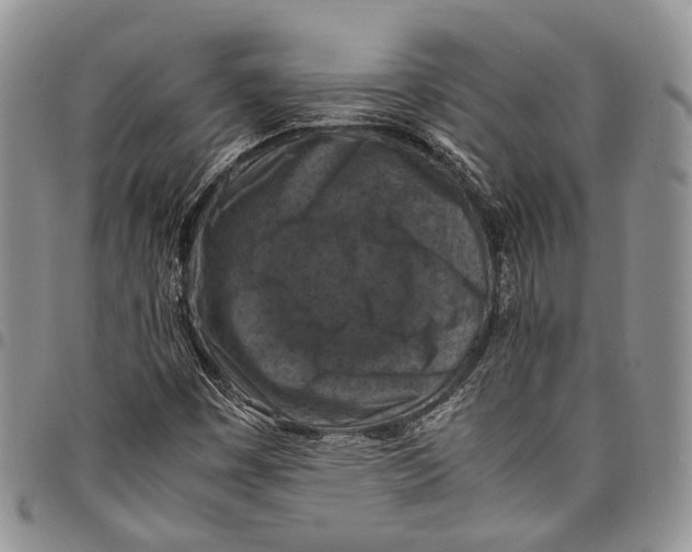 X0000098001449200804141155