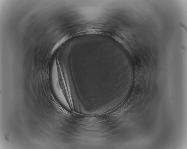 X0000098001450200804141155