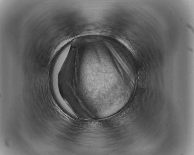 X0000098001452200804141155