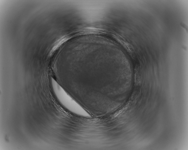 X0000098001453200804141155