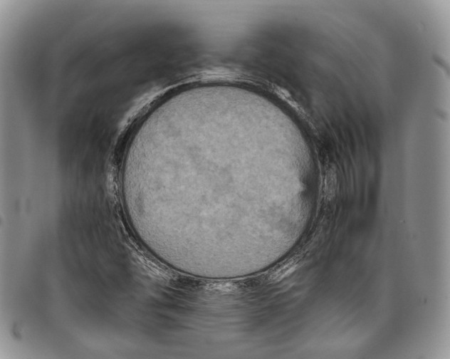 X0000098001454200804141155