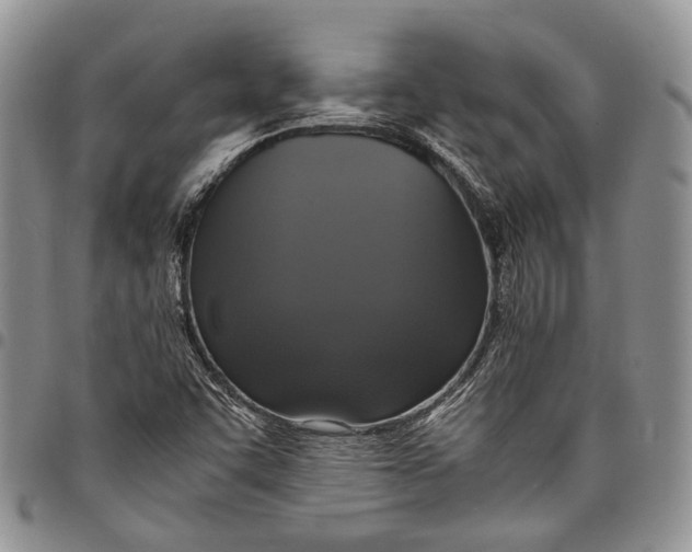 X0000098001455200804141155