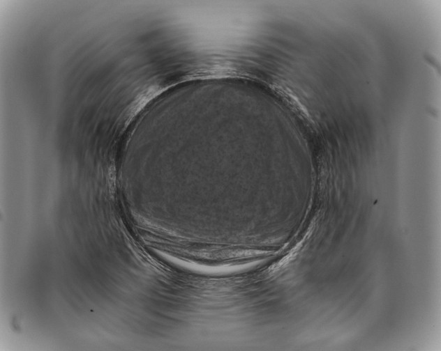 X0000098001457200804141155