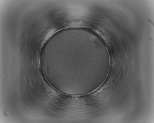 X0000098001459200804141155