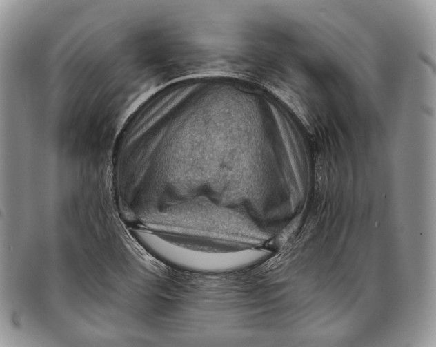 X0000098001460200804141155