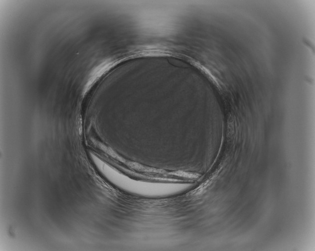 X0000098001461200804141155