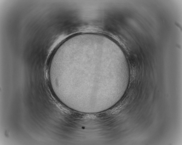 X0000098001462200804141155