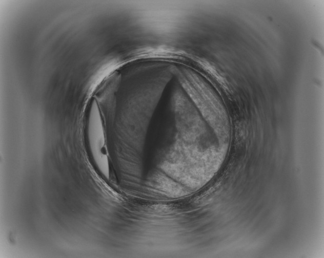 X0000098001463200804141155