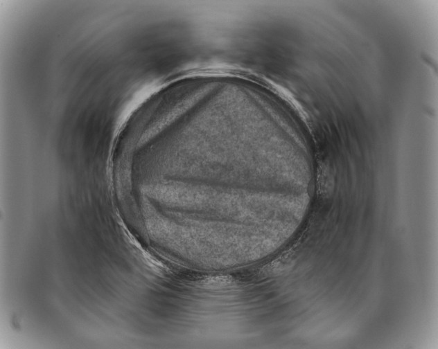 X0000098001464200804141155