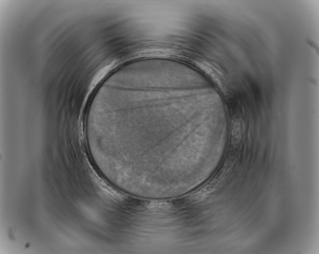 X0000098001466200804141155
